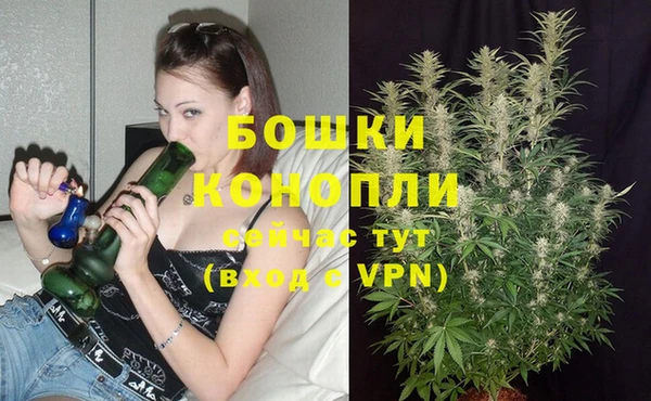 прущие крисы Новокубанск
