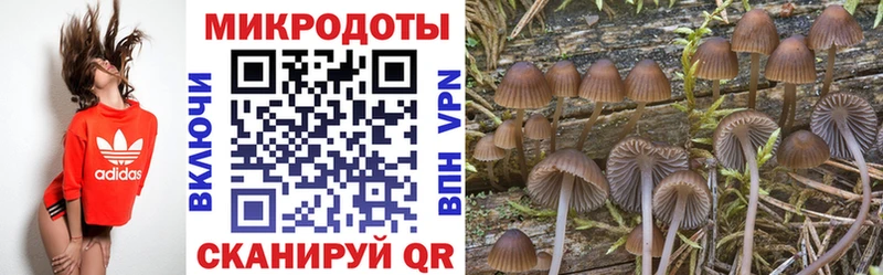 Галлюциногенные грибы ЛСД  Астрахань 
