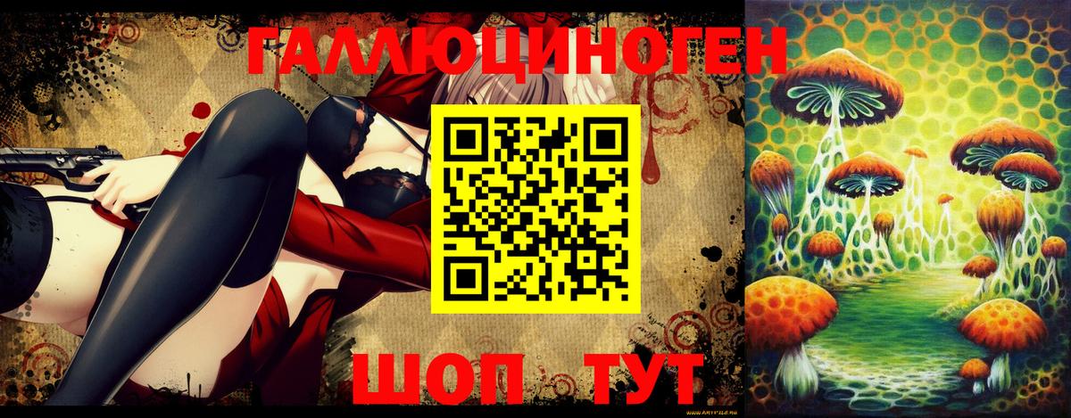 Астрахань  Псилоцибиновые грибы прущие грибы  Вход с VPN 